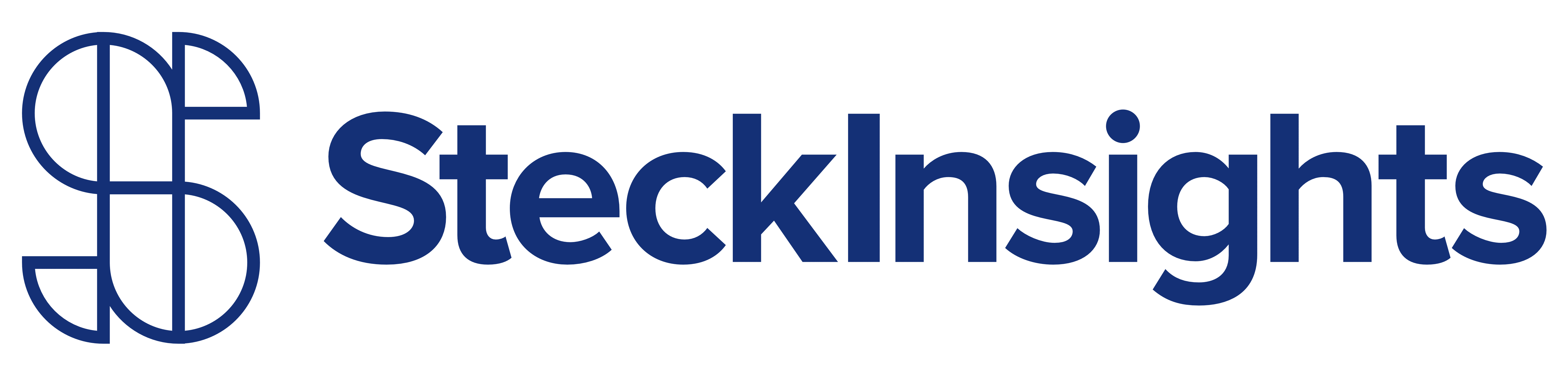 Steck Insights Web Design Logo