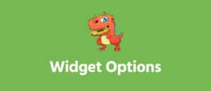 Widget Options VS. Dynamic Widgets