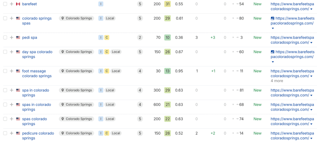 Case Study: Bare Feet Spa SEO Search Engine Optimization Case Study Google Analytics Data
